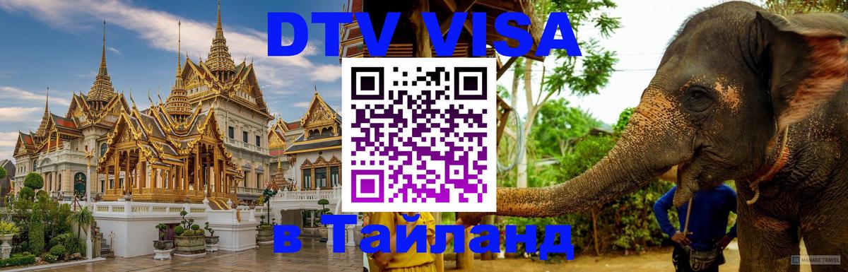 Оформление DTV визы под ключ: стоимость и тарифы, только загранпаспорт - Тирана 